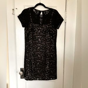 LOFT lace mini dress, size 4
